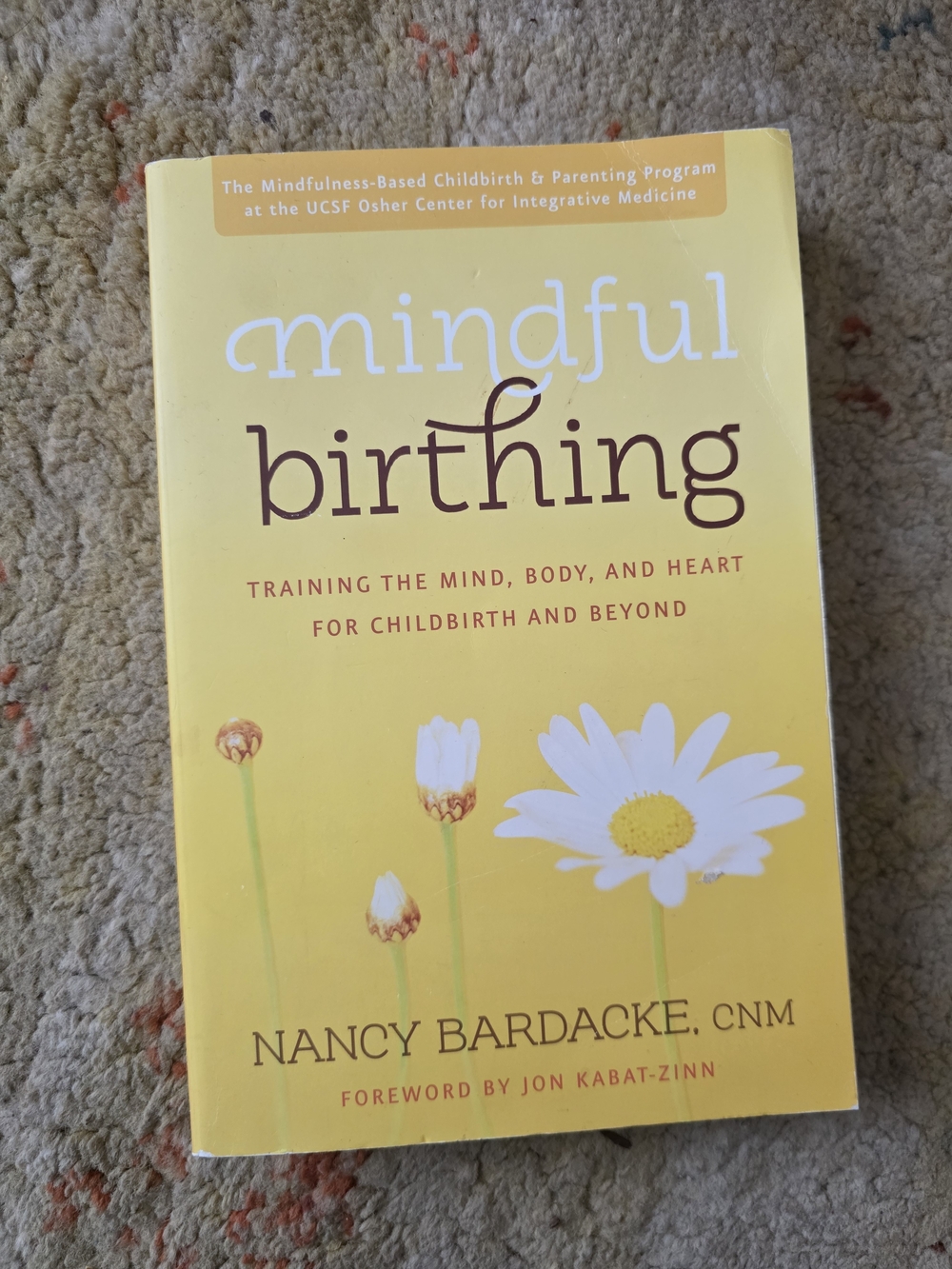 Mindful Birthing by Nancy Bardacke
